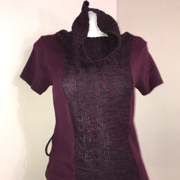Point Zero Deep Burgundy Wine Turtleneck Dress - Picture 2 of 15